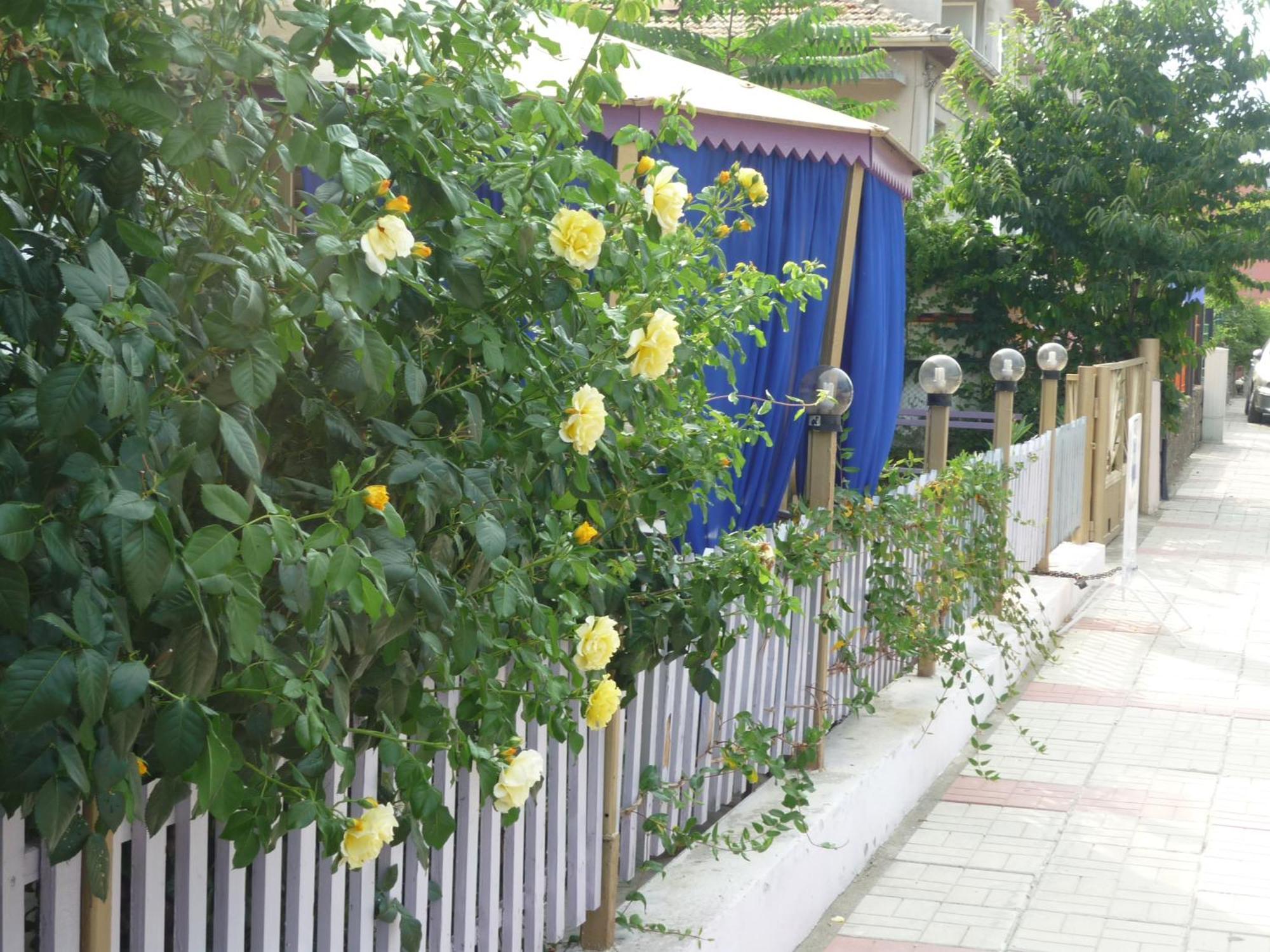 Hotel Strajica Lozenets Esterno foto
